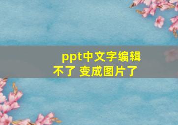 ppt中文字编辑不了 变成图片了